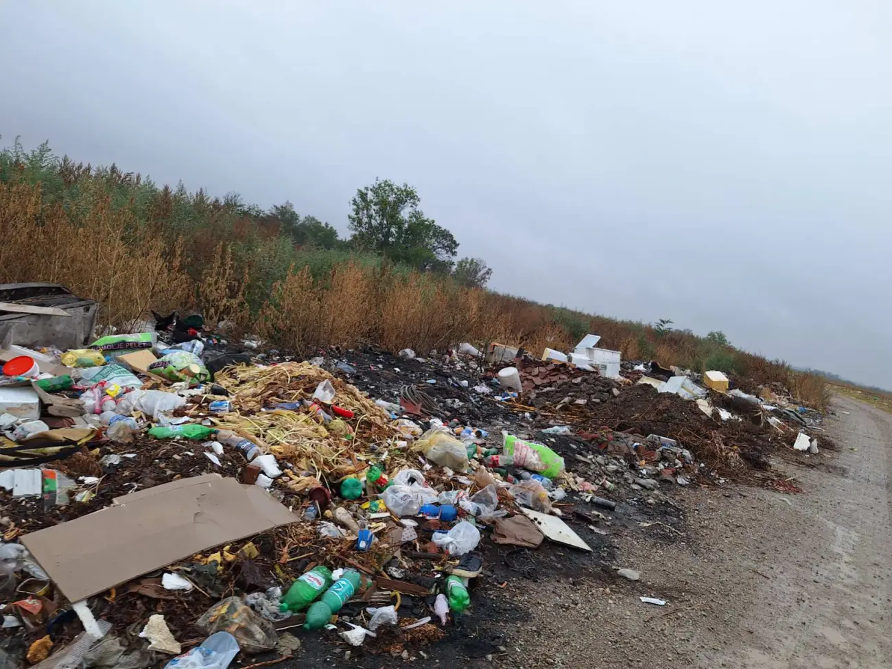 Foto: JKP "Komunalne službe" Požarevac