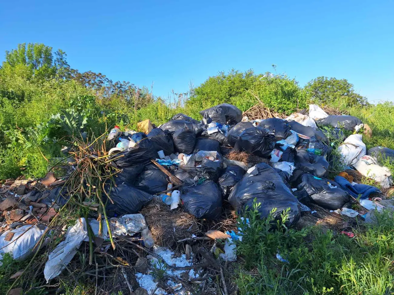 Foto: JKP „Komunalne službe“ Požarevac