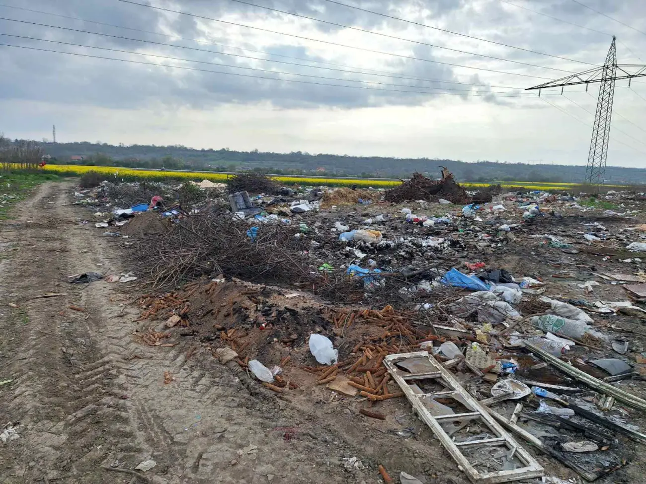 Foto: JKP „Komunalne službe“ Požarevac