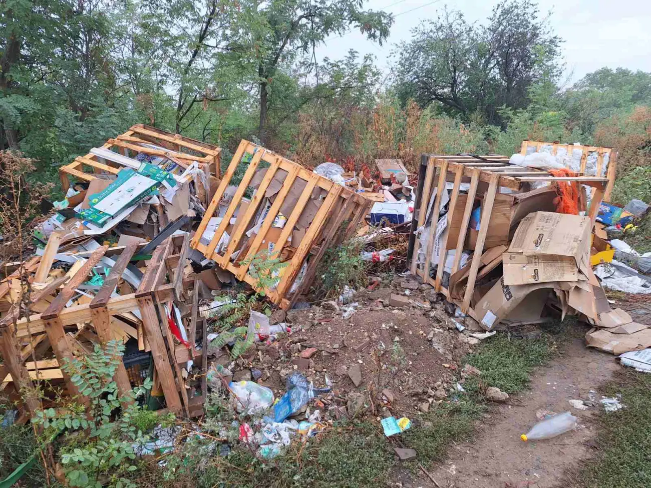 Foto: JKP "Komunalne službe" Požarevac