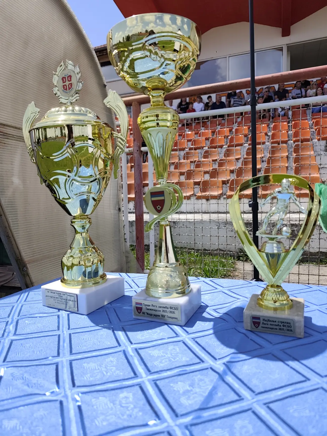 Foto: FK Mladi Radnik Požarevac