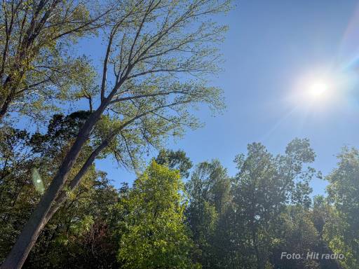 Prolećni kraj februara u Požarevcu: Sunčano i do 13 stepeni