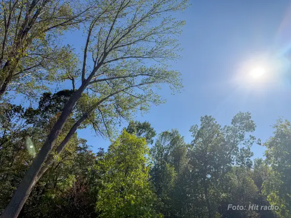 Prolećni kraj februara u Požarevcu: Sunčano i do 13 stepeni