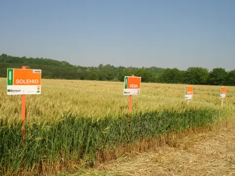 Zimska škola poljoprivrede od 4. do 6. marta u Požarevcu