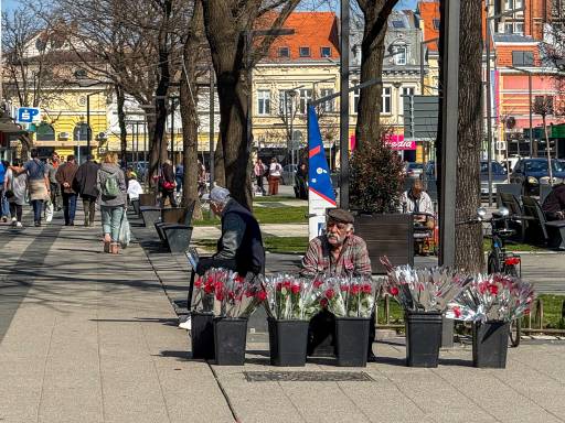 Sunčano vreme i Dan žena obeležili dan u Požarevcu (FOTO)