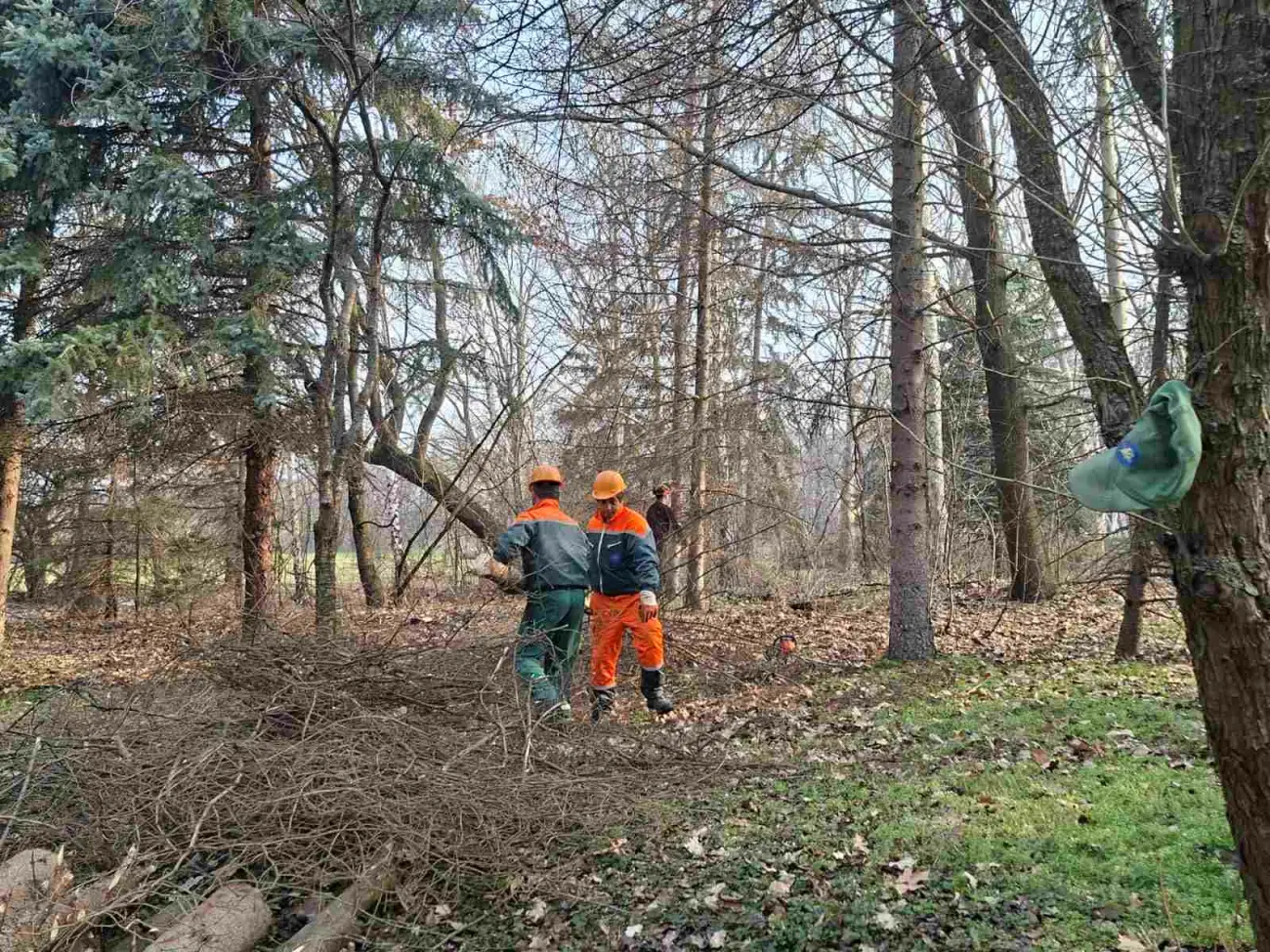 Foto: JKP "Komunalne službe"