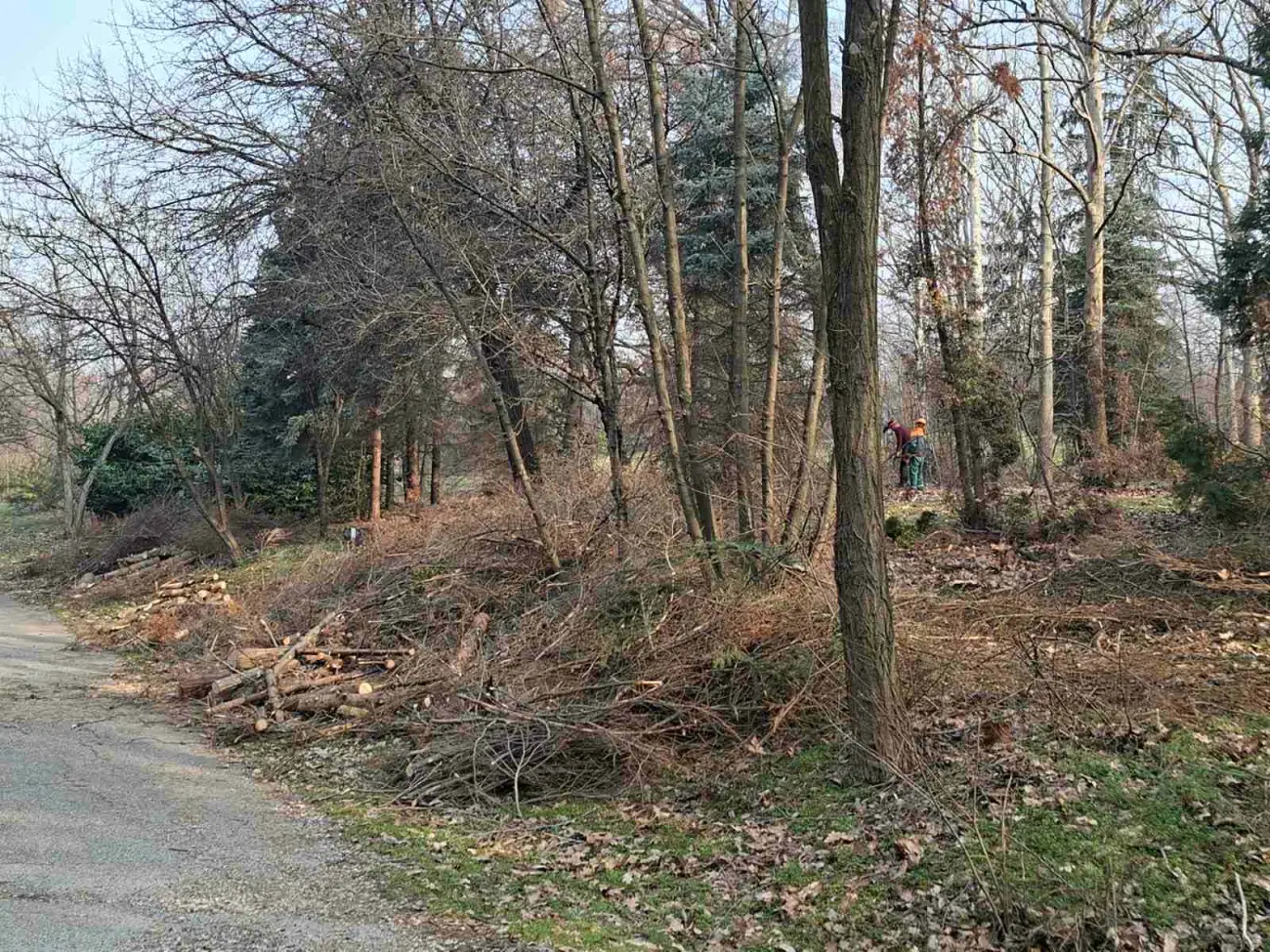 Foto: JKP "Komunalne službe"