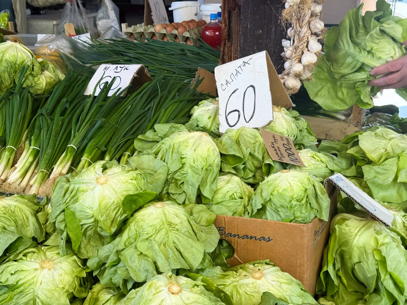 Foto: Hit radio/I.B.