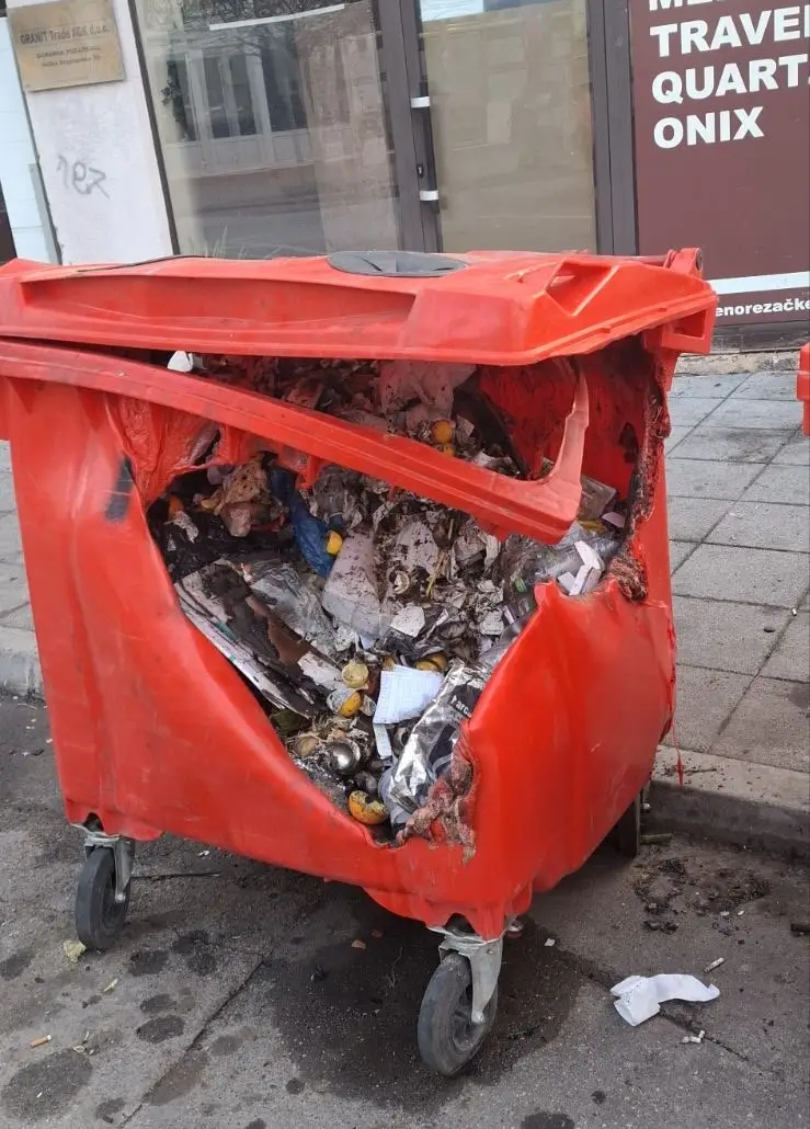 Foto: JKP "Komunalne službe" Požarevac