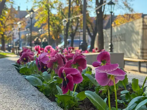 Stiže proleće 20. marta: Kakvo vreme prognoziraju za drugu polovinu marta i april