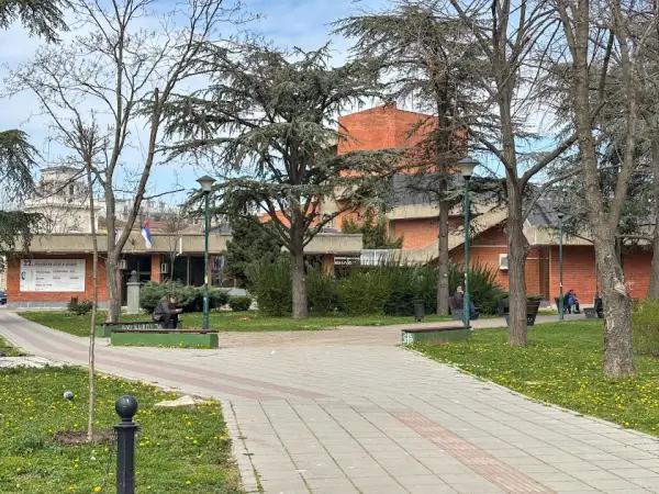 INKLUZIJADA 29. avgusta u Požarevcu: Besplatan muzički festival na kojem ima mesta za sve