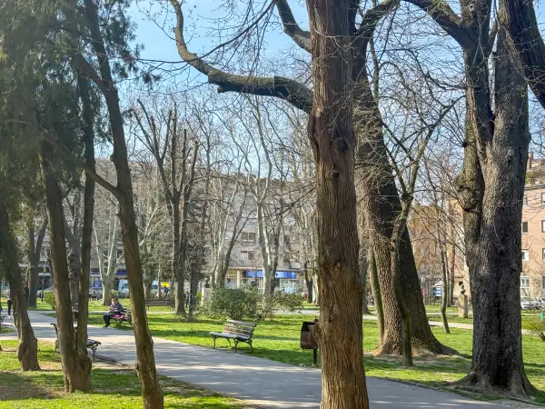 Smena sunca i oblaka u Požarevcu, temperatura do 17 stepeni