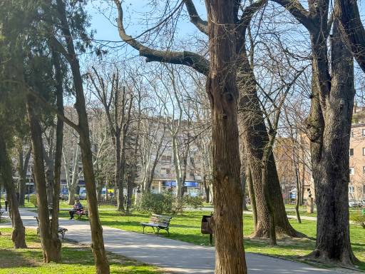 Smena sunca i oblaka u Požarevcu, temperatura do 17 stepeni