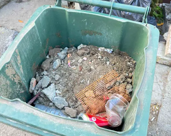 I pored upozorenja, šut završio na ulicama Požarevca