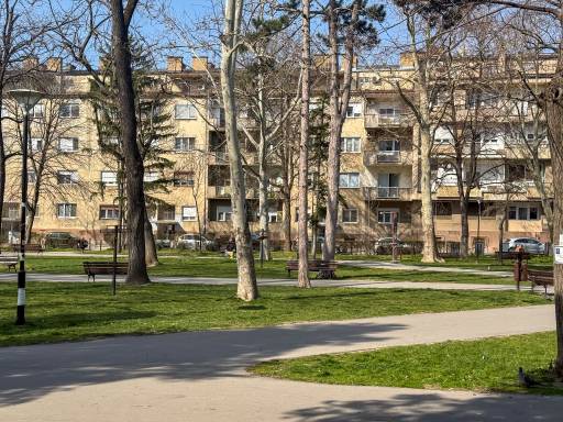 Vetrovito i oblačno: Jaka košava u Požarevcu i širom Srbije