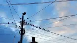Radovi na mreži: Evo ko je danas bez struje
