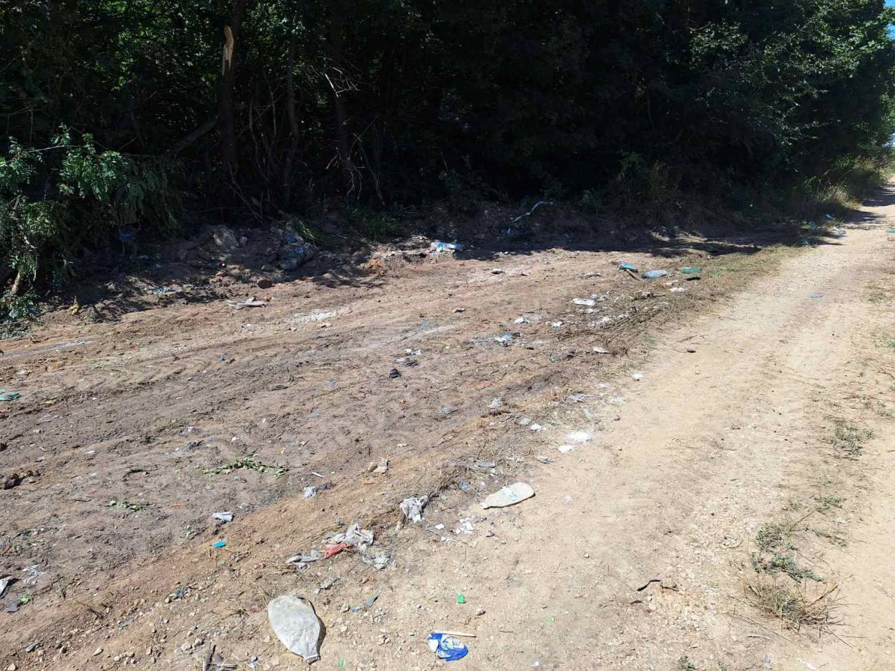 Foto: JKP "Komunalne službe" Požarevac