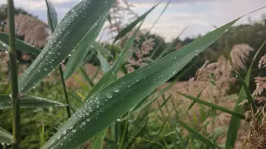 Kakvo nas vreme očekuje do kraja sedmice?