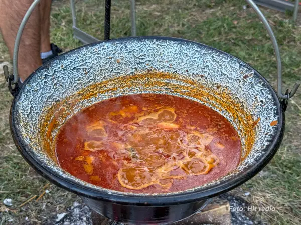  Gastro turistički festival: Najbolja riblja čorba stiže iz Požarevca