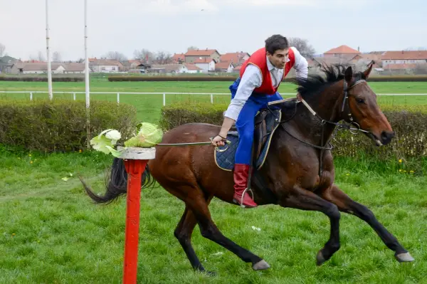 Borba za mesto u Ljubičevskom višeboju: Kvalifikacije 16. avgusta u Požarevcu
