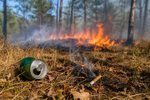 Zabrane i stroge kazne za Prvi maj: Evo šta može skupo da vas košta