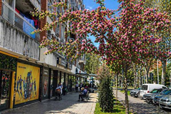 Samo 30 minuta šetnje dnevno: Jednostavna navika koja čuva zdravlje