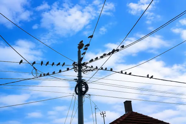 Koja naselja i ulice će u sredu biti bez električne energije?