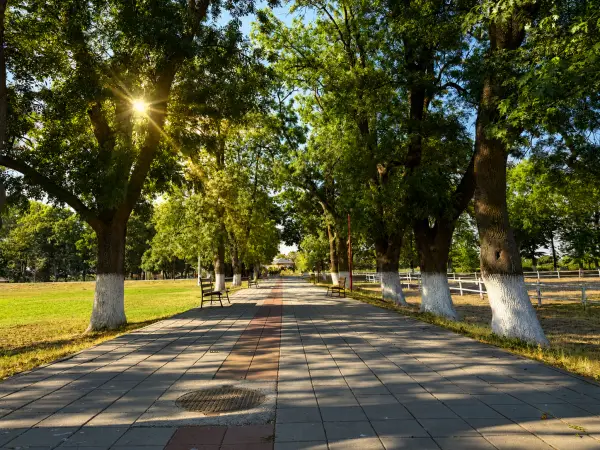 Novi talas vrućina: Do ponedeljka temperature do 40, lokalno i 42 stepena