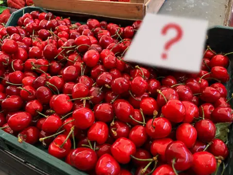 Prve trešnje stigle na pijace u Požarevcu, cena nije za svačiji džep: Evo koliko košta kilogram