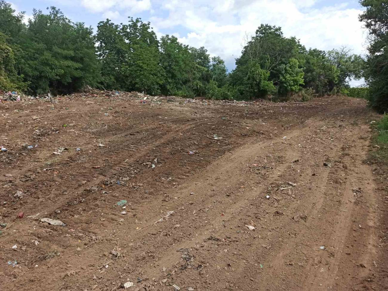 Foto: JKP "Komunalne službe" Požarevac