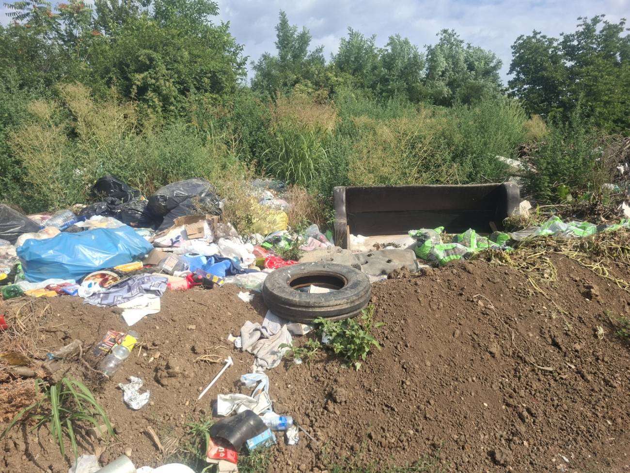 Foto: JKP "Komunalne službe" Požarevac