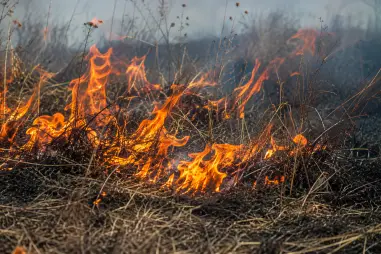 Požarevački vatrogasci učestvovali u gašenju požara kod Majdanpeka