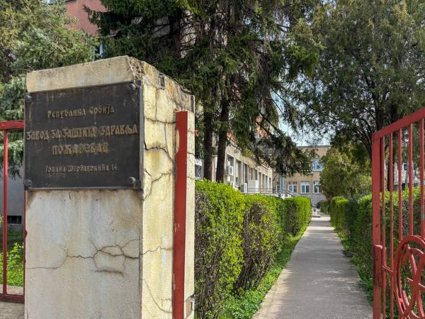 Do kraja avgusta očekuju se povišene vrednosti ambrozije